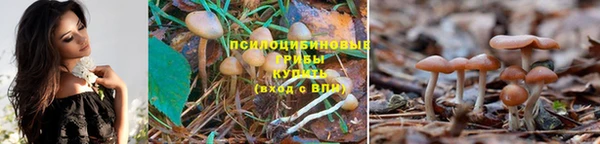 кокаин премиум Богданович