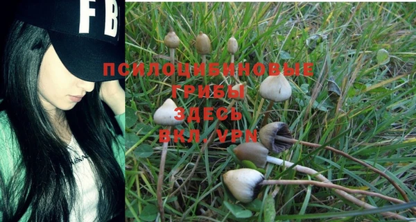 кокаин премиум Богданович