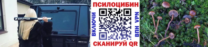 купить закладку Красавино Псилоцибиновые грибы Magic Shrooms